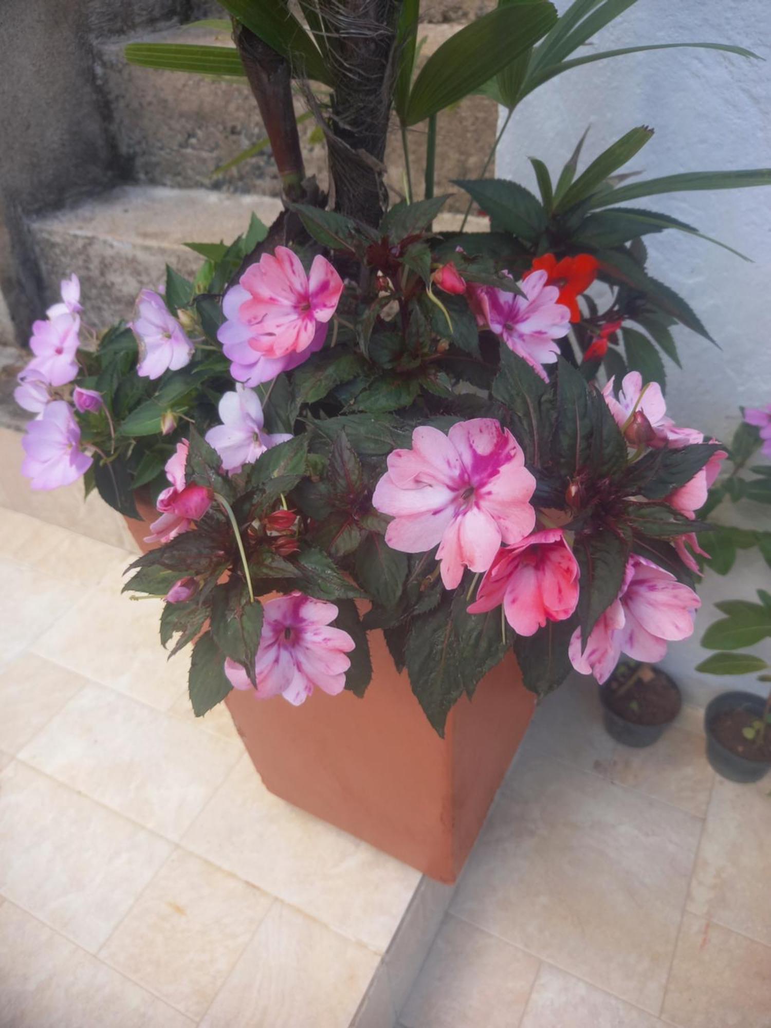 Suites Mathias Flat Conservatória المظهر الخارجي الصورة
