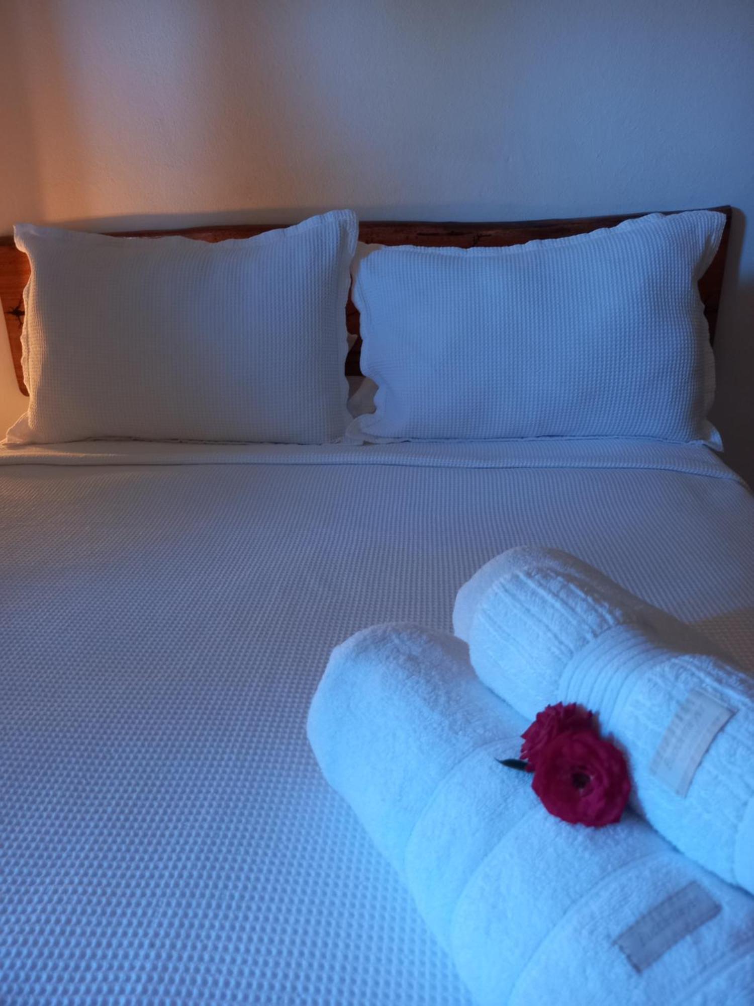 Suites Mathias Flat Conservatória المظهر الخارجي الصورة
