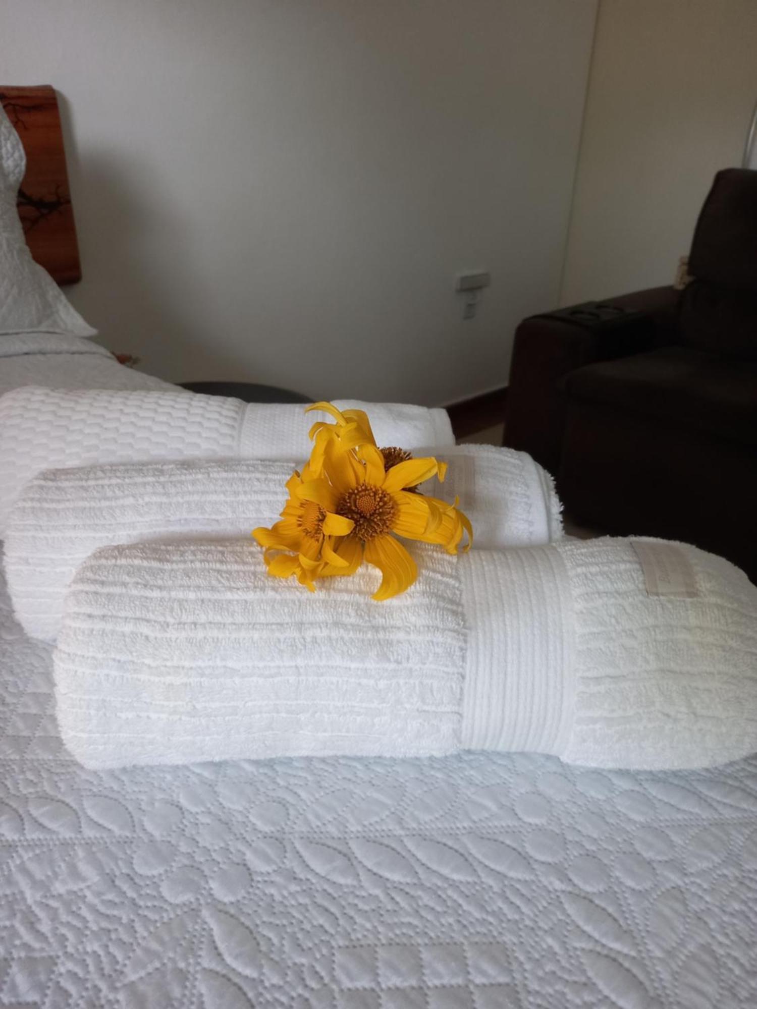 Suites Mathias Flat Conservatória المظهر الخارجي الصورة